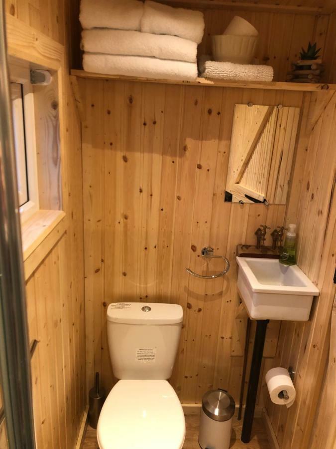Clydesdale Shepherds Hut * Belfast
